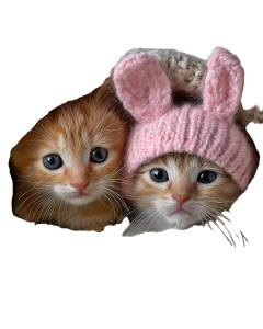 Kittens In Bunny Hats Vinyl Car Decal Sticker – Waterproof & UV-Resistant Kittens In Bunny Hats Vinyl Car Decal Sticker – Waterproof & UV-Resistant