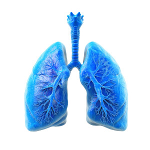 Healthy Blue Lungs Vinyl Car Decal Sticker – Waterproof & UV-Resistant 