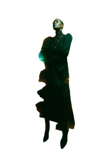 Gucci Model Night Vinyl Car Decal Sticker – Waterproof & UV-Resistant 