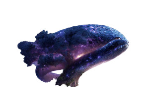 Giant Space Serpent Vinyl Car Decal Sticker – Waterproof & UV-Resistant 