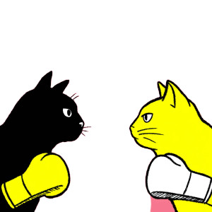 Boxing Kittens Vinyl Car Decal Sticker – Waterproof & UV-Resistant 