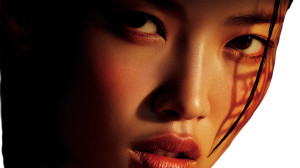 Asian Woman Portrait V67 Vinyl Car Decal Sticker – Waterproof & UV-Resistant  Asian Woman Portrait V67 Vinyl Car Decal Sticker – Waterproof & UV-Resistant