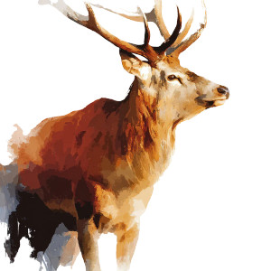 Red Deer Illustration Vinyl Car Decal Sticker – Waterproof & UV-Resistant 
