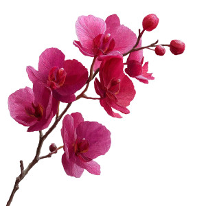 Pink Orchid Branch Vinyl Car Decal Sticker – Waterproof & UV-Resistant 