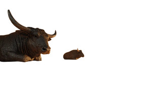 Majestic Bulls Gaushala Vinyl Car Decal Sticker – Waterproof & UV-Resistant 