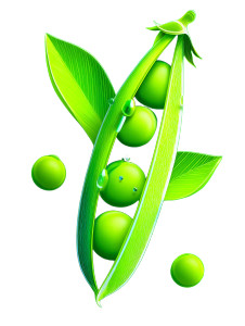 Open Pea Pod Vinyl Car Decal Sticker – Waterproof & UV-Resistant 