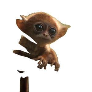 Dmt Baby Animal Vinyl Car Decal Sticker – Waterproof & UV-Resistant 