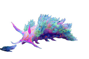 Neon Sea Slug Vinyl Car Decal Sticker – Waterproof & UV-Resistant 