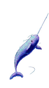 Graceful Narwhal Swim Vinyl Car Decal Sticker – Waterproof & UV-Resistant 