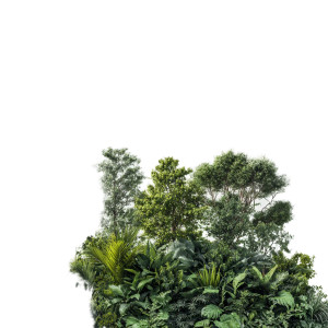 Green Summer Plants Vinyl Car Decal Sticker – Waterproof & UV-Resistant 