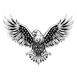 Bald American Eagle Vinyl Car Decal Sticker – Waterproof & UV-Resistant Bald American Eagle Vinyl Car Decal Sticker – Waterproof & UV-Resistant