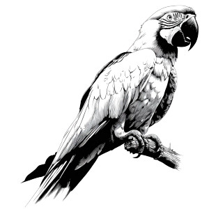 Graphic Parrot Vinyl Car Decal Sticker – Waterproof & UV-Resistant  Graphic Parrot Vinyl Car Decal Sticker – Waterproof & UV-Resistant