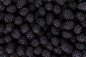 Fresh Blackberries Macro Vinyl Car Decal Sticker – Waterproof & UV-Resistant 