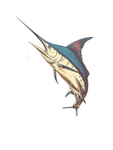 Jumping Marlin Vinyl Car Decal Sticker – Waterproof & UV-Resistant 