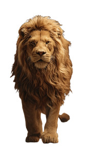 Golden Fantasy Lion Vinyl Car Decal Sticker – Waterproof & UV-Resistant Golden Fantasy Lion Vinyl Car Decal Sticker – Waterproof & UV-Resistant