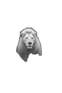 Proud White Lion Vinyl Car Decal Sticker – Waterproof & UV-Resistant 