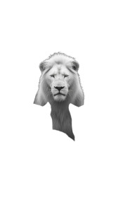 Proud White Lion V4 Vinyl Car Decal Sticker – Waterproof & UV-Resistant 