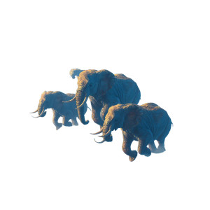 Flying Elephants Vinyl Car Decal Sticker – Waterproof & UV-Resistant Flying Elephants Vinyl Car Decal Sticker – Waterproof & UV-Resistant