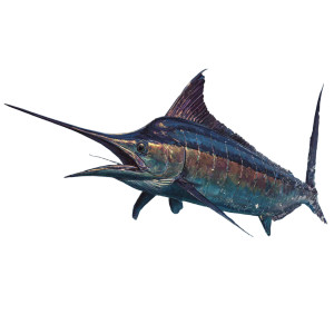 Vibrant Marlin Leap Vinyl Car Decal Sticker – Waterproof & UV-Resistant 