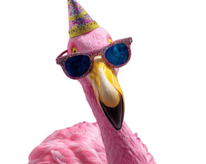 Goofy Flamingo Party Vinyl Car Decal Sticker – Waterproof & UV-Resistant 