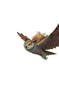 Owl With Parcel V2 Vinyl Car Decal Sticker – Waterproof & UV-Resistant 