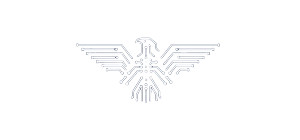 Circuitry Eagle Logo Vinyl Car Decal Sticker – Waterproof & UV-Resistant 
