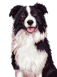 Stern Pixel Collie Vinyl Car Decal Sticker – Waterproof & UV-Resistant 