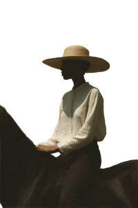 Equestrian Elegance V2 Vinyl Car Decal Sticker – Waterproof & UV-Resistant 