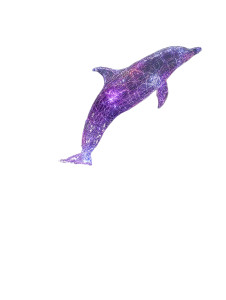 Rave Dolphin Vinyl Car Decal Sticker – Waterproof & UV-Resistant 