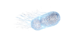 Glowing Mitochondria Render Vinyl Car Decal Sticker – Waterproof & UV-Resistant Glowing Mitochondria Render Vinyl Car Decal Sticker – Waterproof & UV-Resistant