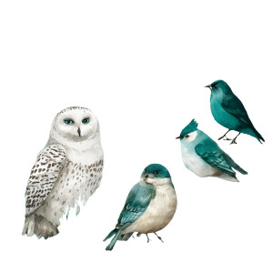 Snowy Owl Illustration V2 Vinyl Car Decal Sticker – Waterproof & UV-Resistant 