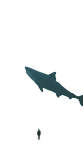 Solitary Beach Gaze Vinyl Car Decal Sticker – Waterproof & UV-Resistant  Solitary Beach Gaze Vinyl Car Decal Sticker – Waterproof & UV-Resistant