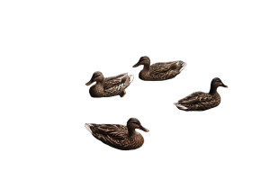 Ducks On River Vinyl Car Decal Sticker – Waterproof & UV-Resistant Ducks On River Vinyl Car Decal Sticker – Waterproof & UV-Resistant