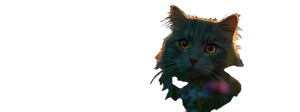 Fluffy Grey Cat V3 Vinyl Car Decal Sticker – Waterproof & UV-Resistant 