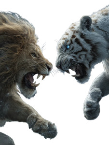 Lion Vs Tiger V6 Vinyl Car Decal Sticker – Waterproof & UV-Resistant 