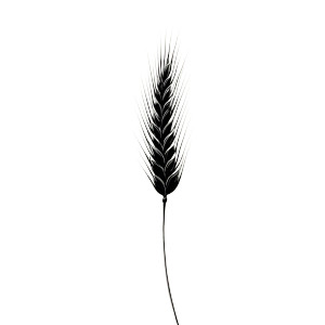 Single Wheat Vinyl Car Decal Sticker – Waterproof & UV-Resistant 