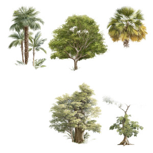 Tropical Coastal Trees Vinyl Car Decal Sticker – Waterproof & UV-Resistant 