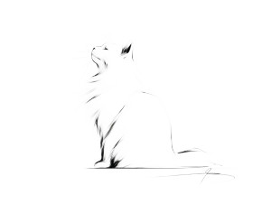 Playful Ragdoll Cat V2 Vinyl Car Decal Sticker – Waterproof & UV-Resistant 