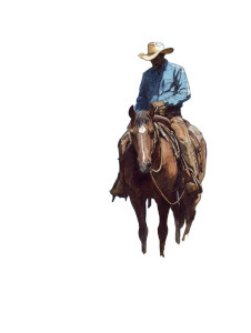 Cowboy On Horseback V5 Vinyl Car Decal Sticker – Waterproof & UV-Resistant 