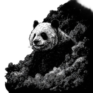 Panda V7 Vinyl Car Decal Sticker – Waterproof & UV-Resistant 