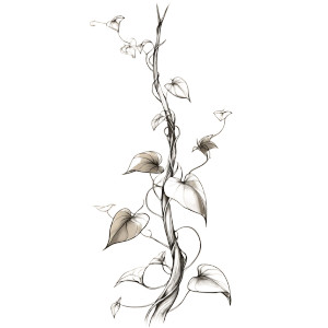 Poison Ivy Tattoo Vinyl Car Decal Sticker – Waterproof & UV-Resistant 