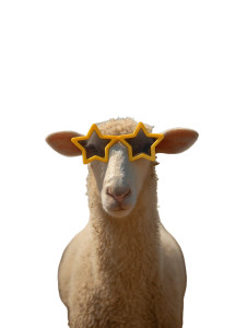 Sheep With Sunglasses V2 Vinyl Car Decal Sticker – Waterproof & UV-Resistant 