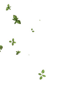 Soil With Sprouts Vinyl Car Decal Sticker – Waterproof & UV-Resistant 