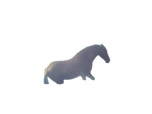 Struggling Brown Horse Vinyl Car Decal Sticker – Waterproof & UV-Resistant 