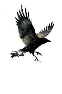 Shard Crow Flight Vinyl Car Decal Sticker – Waterproof & UV-Resistant 