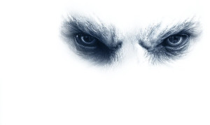 Big Demon Eyes Vinyl Car Decal Sticker – Waterproof & UV-Resistant 