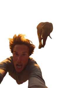 Elephant Chase Selfie Vinyl Car Decal Sticker – Waterproof & UV-Resistant 
