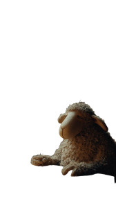 Wise Sheep Scholar Vinyl Car Decal Sticker – Waterproof & UV-Resistant 