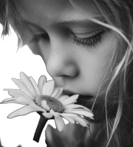 Girl With Daisy Vinyl Car Decal Sticker – Waterproof & UV-Resistant 