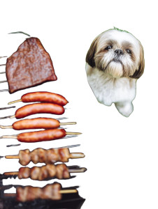 Shih Tzu Grill Vinyl Car Decal Sticker – Waterproof & UV-Resistant Shih Tzu Grill Vinyl Car Decal Sticker – Waterproof & UV-Resistant